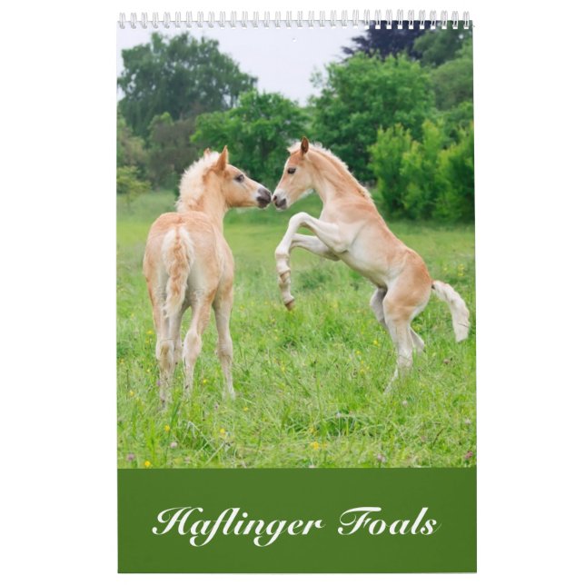 Haflinger Foals 2017 Calendar (Cover)