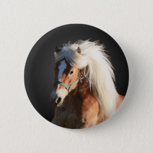 Haflinger Horse 6 Cm Round Badge