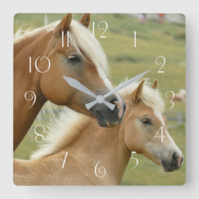 Haflinger horse and foal square wall clock (Front)