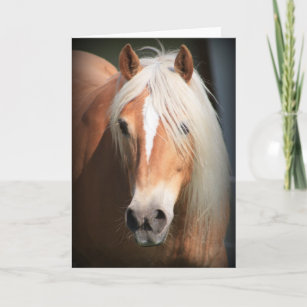 Haflinger Horse Card