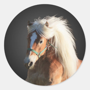 Haflinger Horse Classic Round Sticker