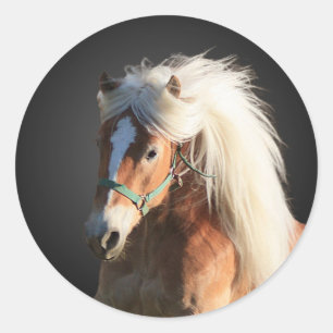 Haflinger Horse Classic Round Sticker
