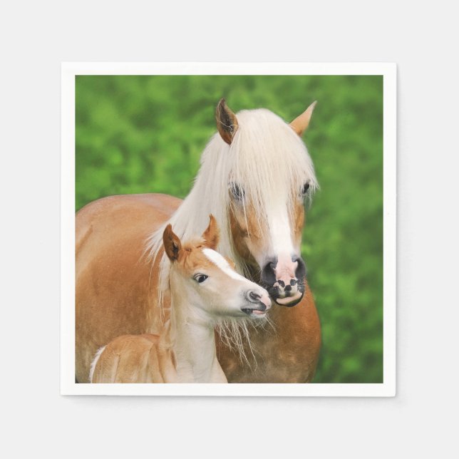 Haflinger Horse Cute Baby Foal Kiss Mum Pony Photo Napkin (Front)