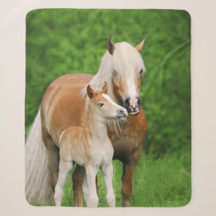 Haflinger Horse Cute Baby Foal Kiss Mum Pony Photo Sherpa Blanket