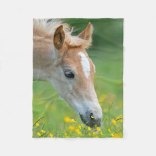 Haflinger Horse Cute Foal Flowers Portrait - Fleece Blanket