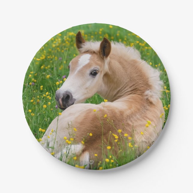 Haflinger Horse Cute Foal in Flowerbed Funny Party Paper Plate (Front)