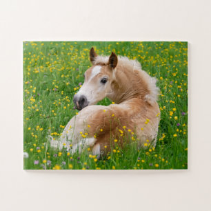 Haflinger Horse Cute Foal Rest Flowerbed Game Jigsaw Puzzle