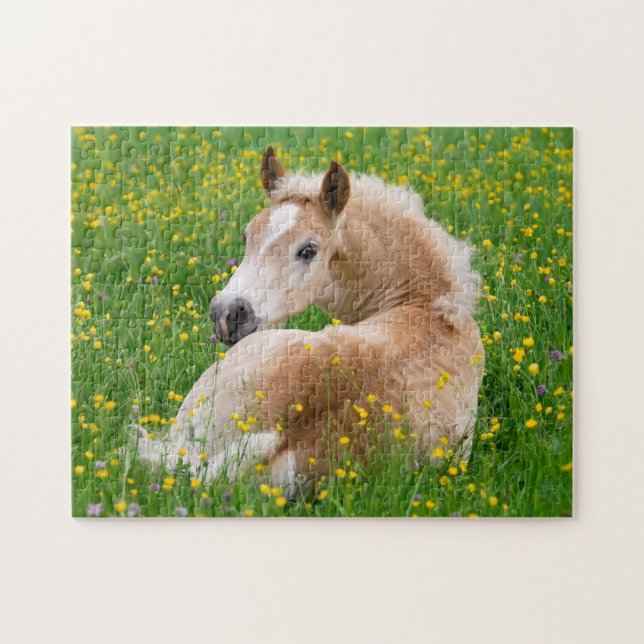 Haflinger Horse Cute Foal Rest in Flowerbed Jigsaw Jigsaw Puzzle (Horizontal)