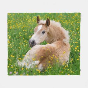 Haflinger Horse Cute Foal Resting Flowerbed, soft Fleece Blanket