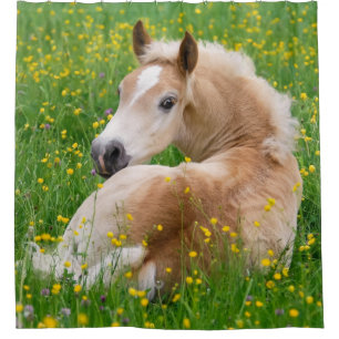 Haflinger Horse Cute Foal Resting Flowerbed - Tub Shower Curtain