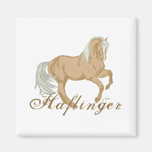 Haflinger Horse Magnet