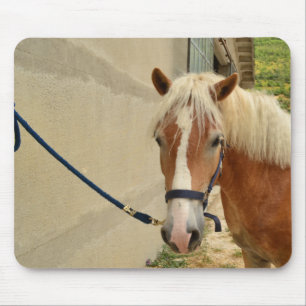 Haflinger horse mouse mat