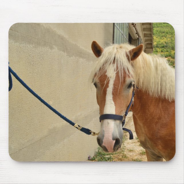 Haflinger horse mouse mat (Front)