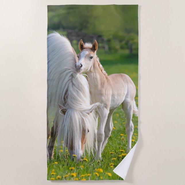 Haflinger Horses Cute Baby Foal With Mum Photo : Beach Towel (Front)