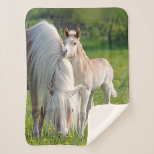 Haflinger Horses Cute Baby Foal With Mum Photo , Sherpa Blanket