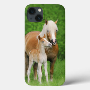 Haflinger Horses Cute Foal Kiss Mum -  iPhone 13 Case