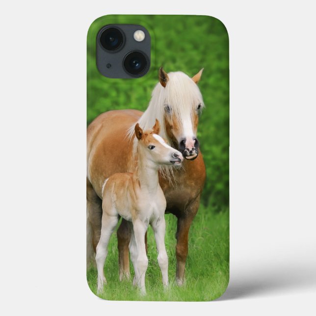Haflinger Horses Cute Foal Kiss Mum -  Case-Mate iPhone Case (Back)