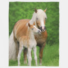 Haflinger Horses Cute Foal Kiss Mum Funny - cosy