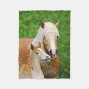 Haflinger Horses Cute Foal Kiss Mum Funny Fleece Blanket