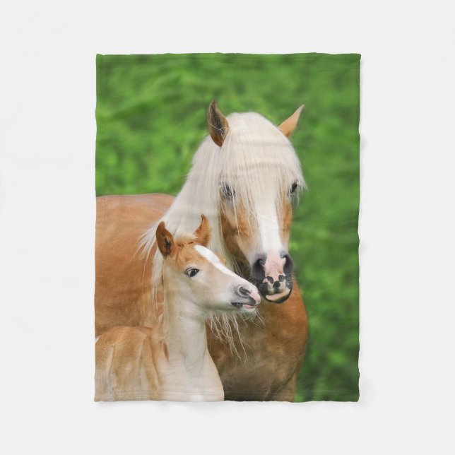 Haflinger Horses Cute Foal Kiss Mum Funny Fleece Blanket (Front)