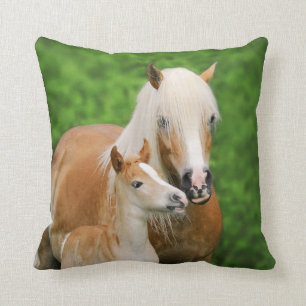 Haflinger Horses Cute Foal Kiss Mum Photo - Cushion