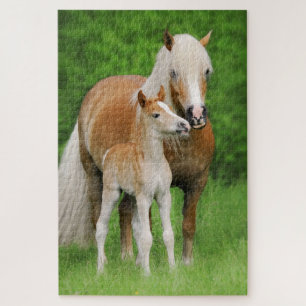 Haflinger Horses Cute Foal Kiss Mum Photo - Game Jigsaw Puzzle