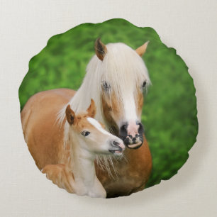 Haflinger Horses Cute Foal Kiss Mum Photo smooth Round Cushion