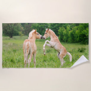Haflinger Horses Cute Foals Friends Rearing Photo Beach Towel