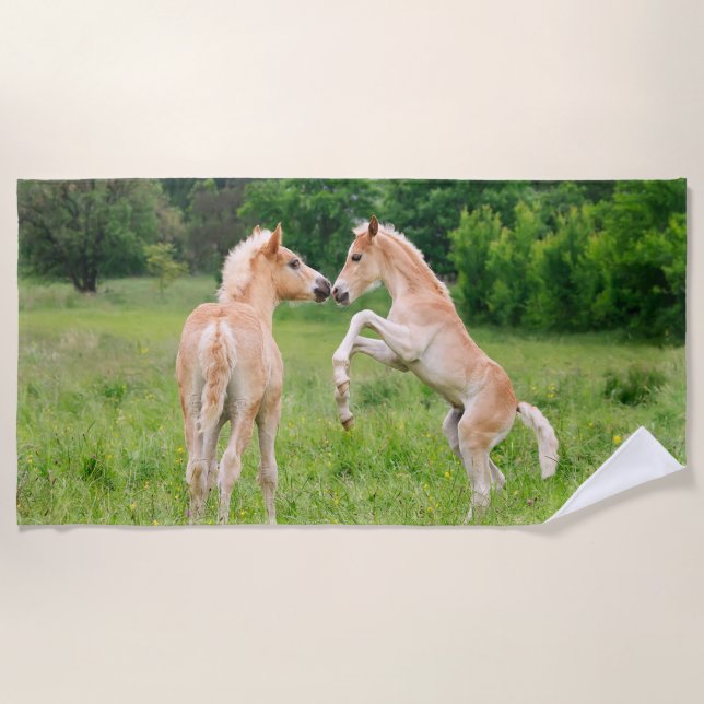 Haflinger Horses Cute Foals Friends Rearing Photo Beach Towel (Front)