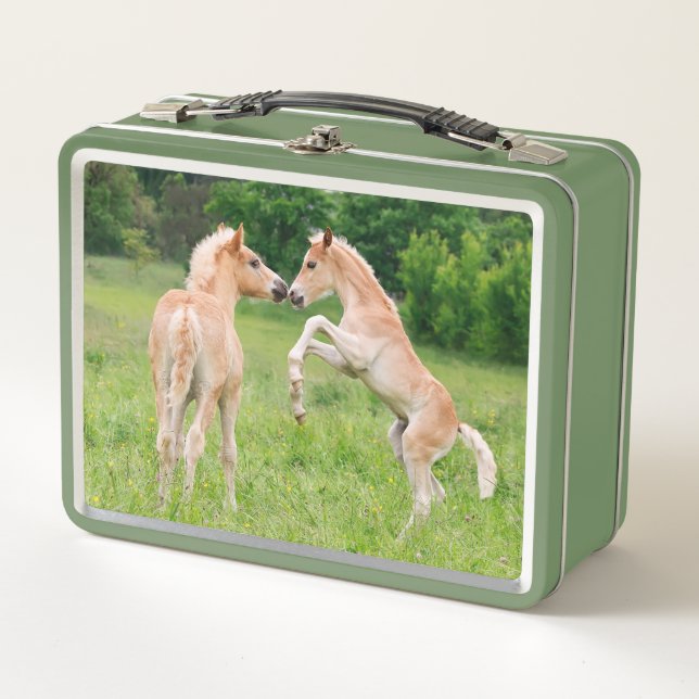 Haflinger Horses Cute Foals Friends Rearing Photo Metal Lunch Box (Front)