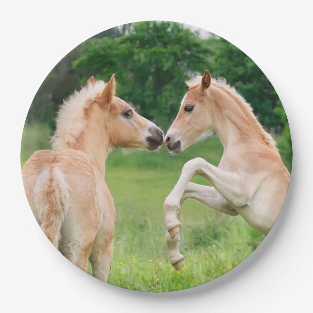 Haflinger Horses Cute Foals Rearing, Happy Party Paper Plate (Front)