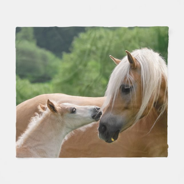 Haflinger Horses Foal and Mare cuddling, comfort Fleece Blanket (Front (Horizontal))