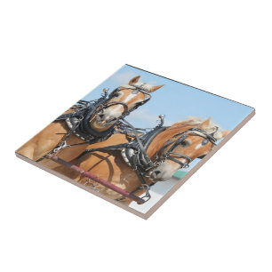 Haflinger Horses Tile