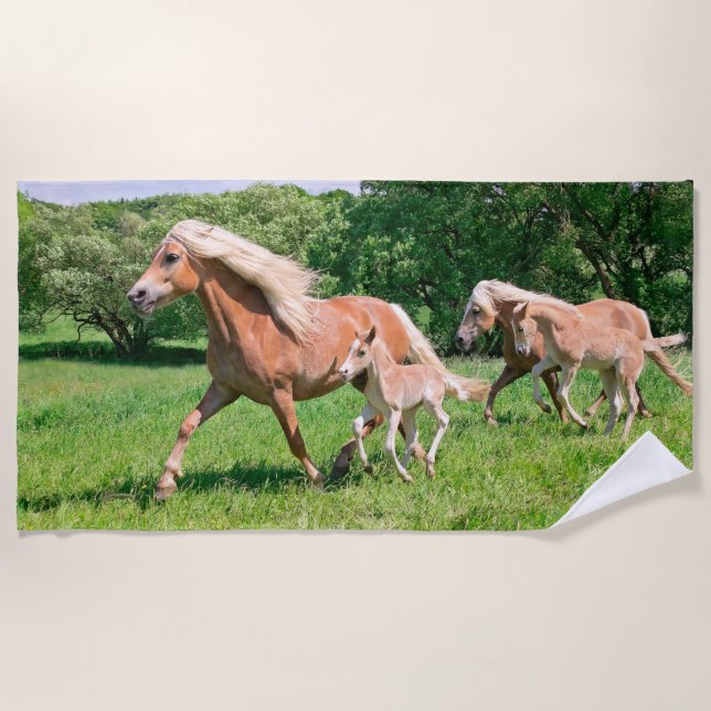 Haflinger Horses with Cute Foals Run Funny Photo _ Beach Towel (Front)