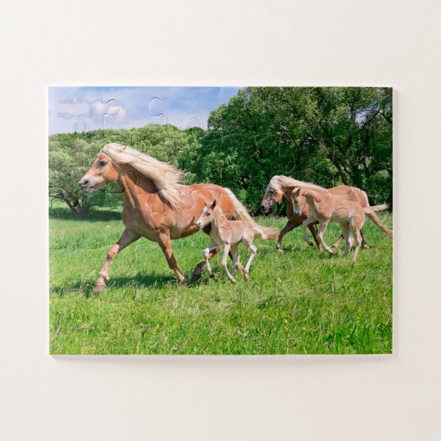 Haflinger Horses with Cute Foals Run Funny Photo * Jigsaw Puzzle (Horizontal)
