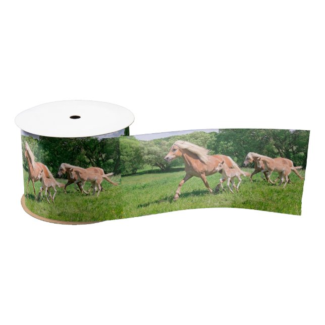 Haflinger Horses with Cute Foals Run Funny Photo , Satin Ribbon (Spool)
