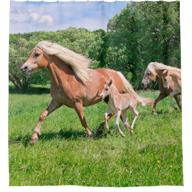 Haflinger Horses with Cute Foals Run Funny Photo - Shower Curtain (Front)