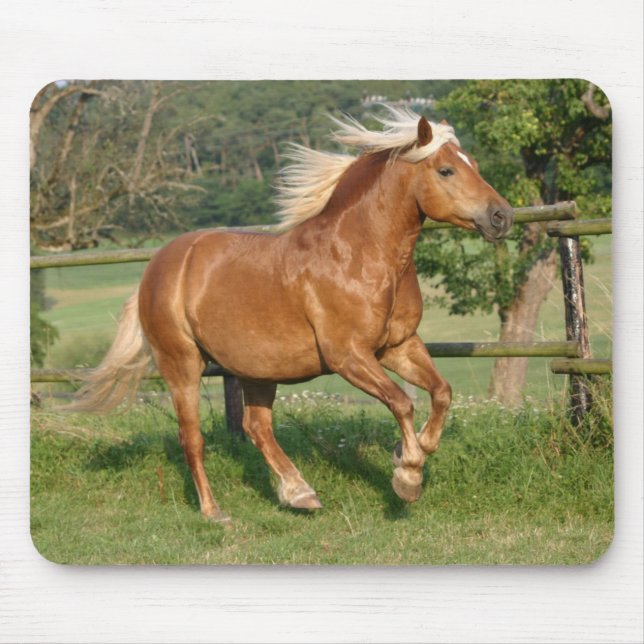 Haflinger mousepad (Front)
