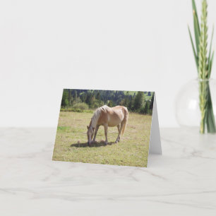 Haflinger Palomino Pony in Green Pasture Photo: Card