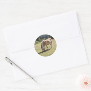 Haflinger Palomino Pony in Green Pasture Photo: Classic Round Sticker