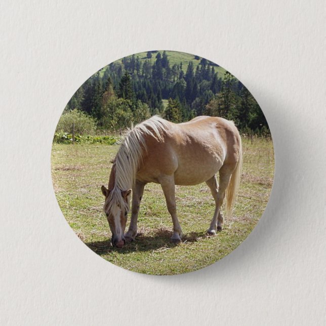 Haflinger Palomino Pony in Summer Pasture Photo 6 Cm Round Badge (Front)