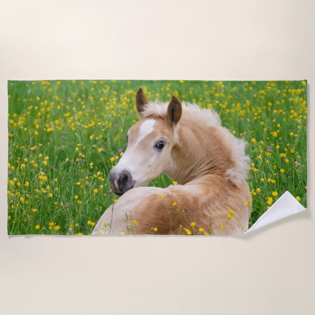 Haflinger Pony Horse Cute Foal in Flowerbed Photo Beach Towel (Front)