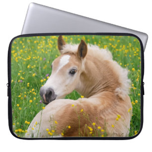 Haflinger Pony Horse Cute Foal in Flowerbed Photo Laptop Sleeve