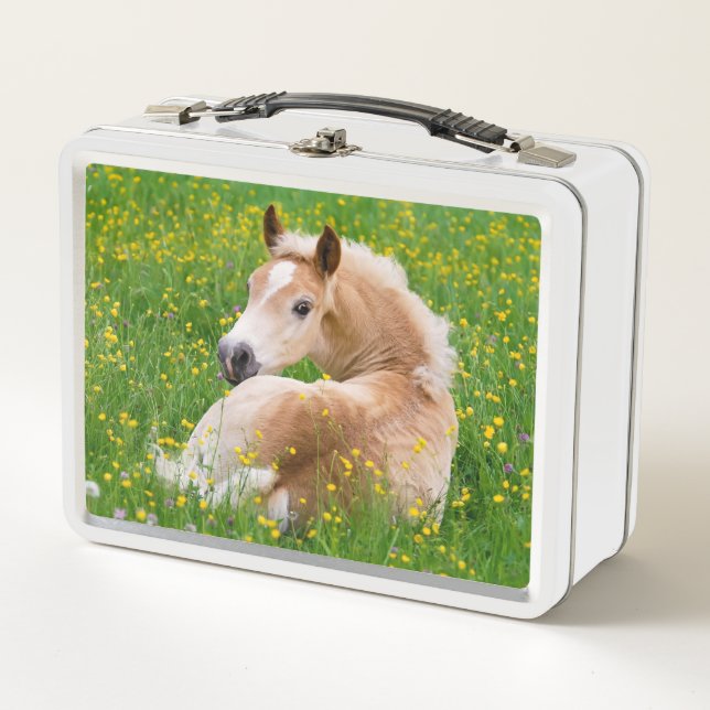 Haflinger Pony Horse Cute Foal in Flowerbed Photo Metal Lunch Box (Front)