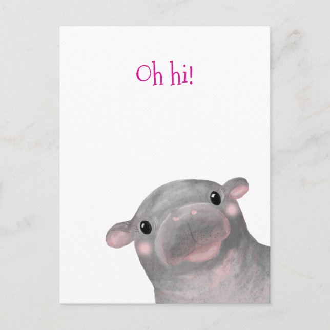 Haggis the cute baby hippo 'Oh hi!' postcard (Front)