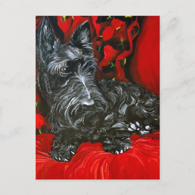 Haggis the Scottish Terrier Postcard (Front)