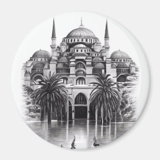 Hagia Sopya in Istanbul Turkey Magnet
