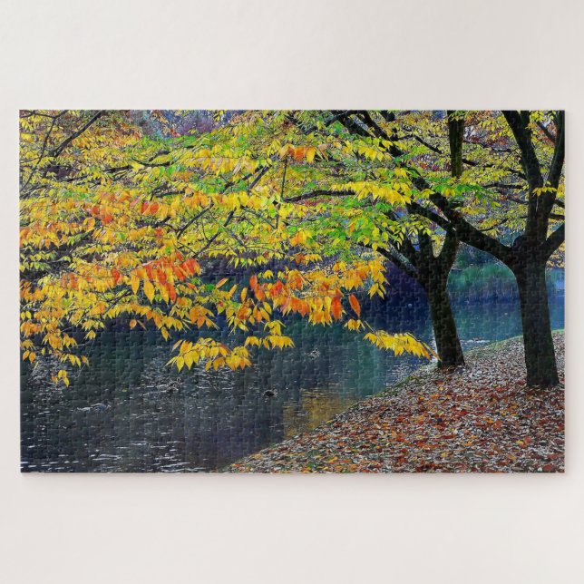 Hagley Park Christchurch New Zealand Jigsaw Puzzle (Horizontal)