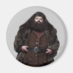 Hagrid and Dog Magnet