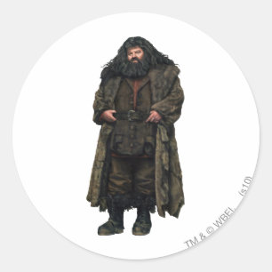 Hagrid Classic Round Sticker